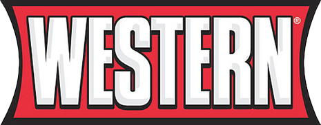 wester snow and ice master mechanic logo